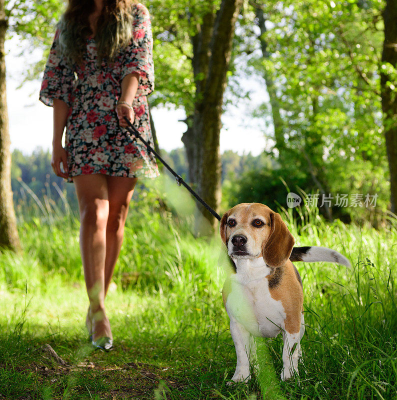 一个年轻女人和一只小猎犬在树林里