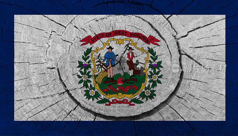 画在树桩上的西弗吉尼亚州国旗