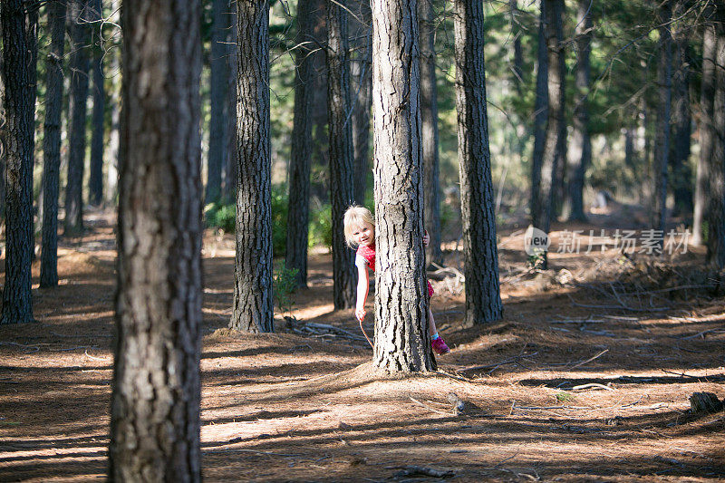 一个金发姑娘藏在树林里