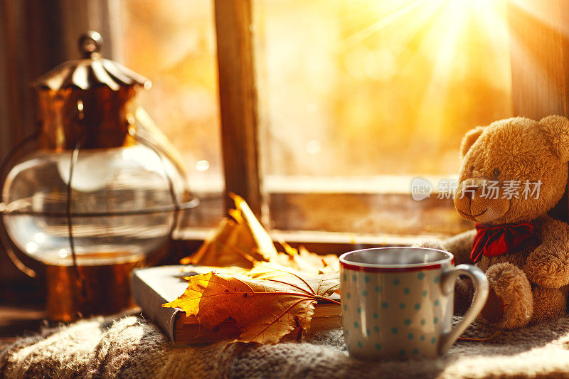秋天的静物画。一扇窗，热腾腾的茶杯