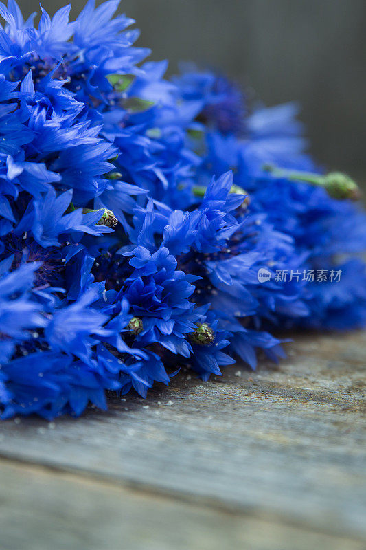 一束蓝色矢车菊，背景是古老的木头