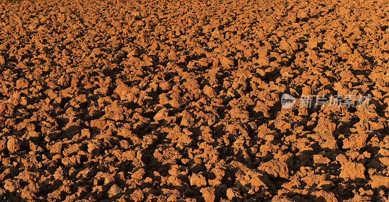 水稻种植前稻田内的土壤块状为褐色背景