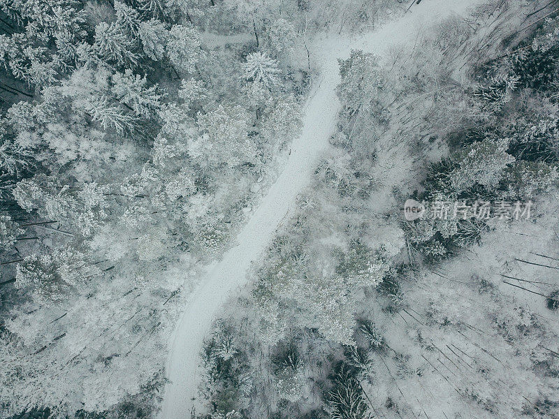 森林被雪覆盖的鸟瞰图