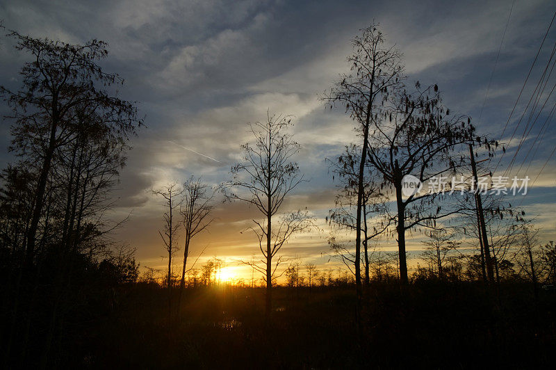 路易斯安那沼泽的日落