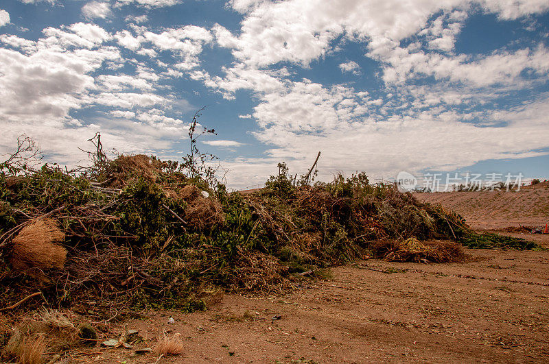 新墨西哥州拉斯克鲁塞斯垃圾填埋场等待覆盖的庭院垃圾
