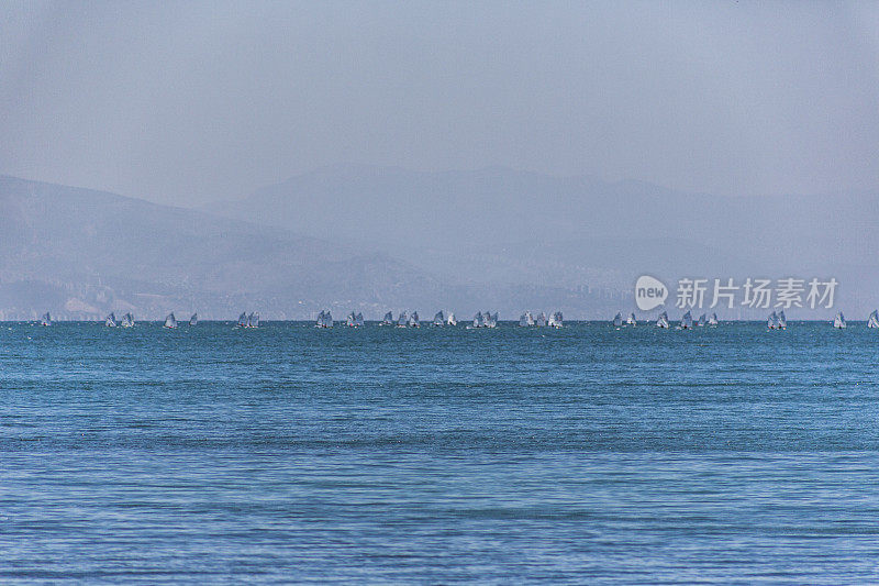 乐观的小帆船聚集在土耳其伊兹密尔海湾cesme附近