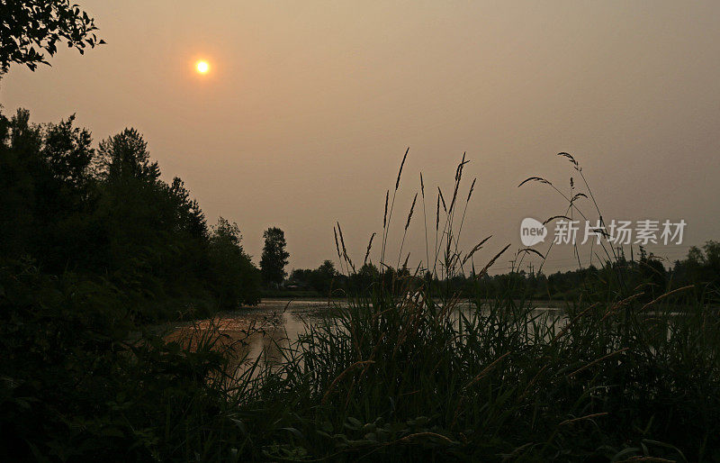 来自不列颠哥伦比亚省夏季野火的烟雾天空