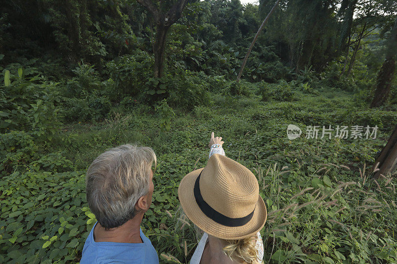 在探险过程中，一对夫妇凝视着丛林