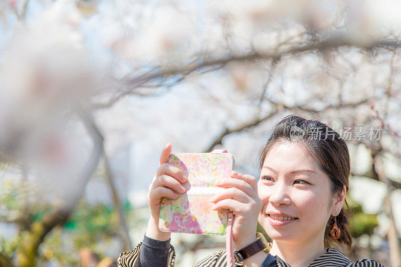 日本女人拍照的花