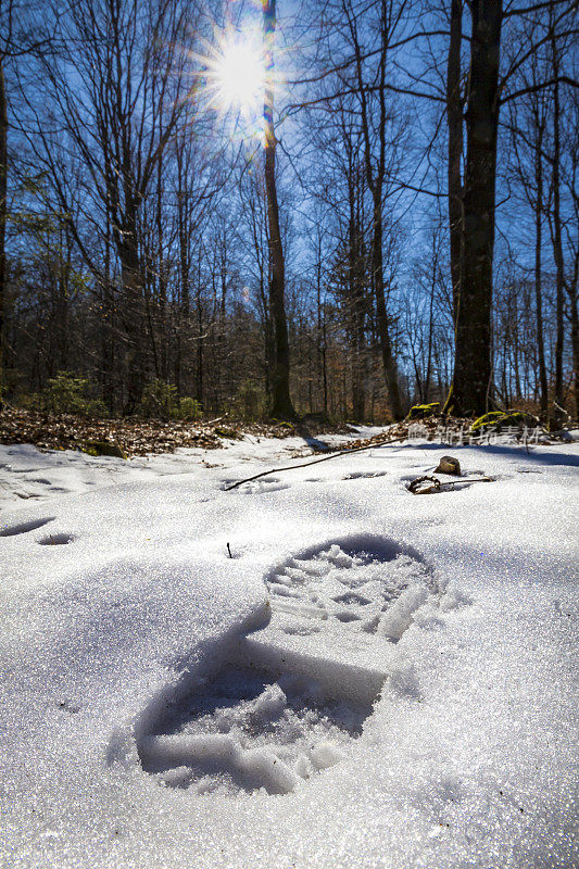 雪步