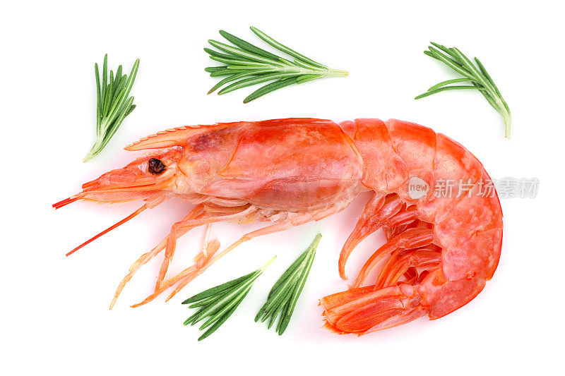 红色煮虾或虾与迷迭香孤立在白色背景。俯视图