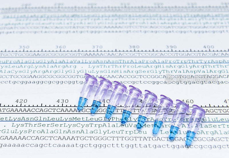 DNA序列密码子分析的蛋白质测序