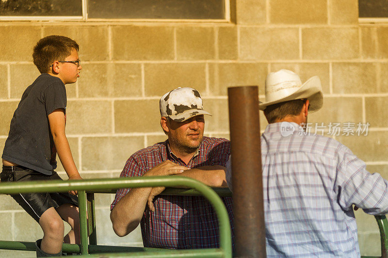 农夫和他的儿子聚集在美国犹他州的一个奶牛场谈话