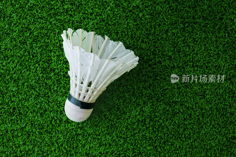 白色羽毛球，在绿色草地上打羽毛球