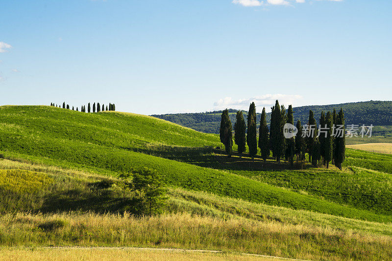 托斯卡纳风景与托斯卡纳柏树在意大利，欧洲