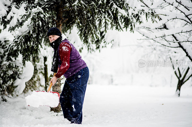 大雪过后，高年级学生清理树上的积雪