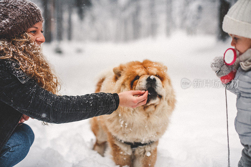 雪中的聚会时间