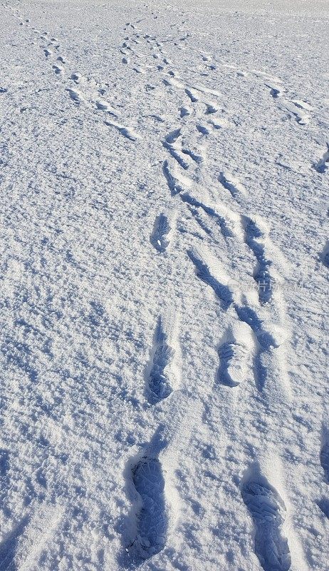 脚步在雪地