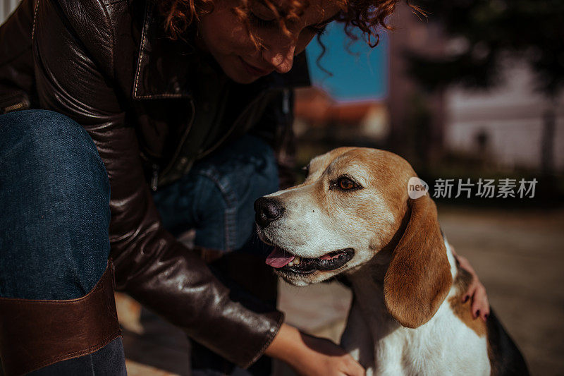 年轻女人和比格犬