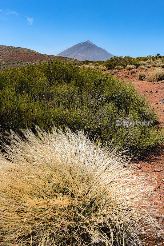 Teide山景观，Teide火山和Teide国家公园的熔岩风景-特内里费，西班牙