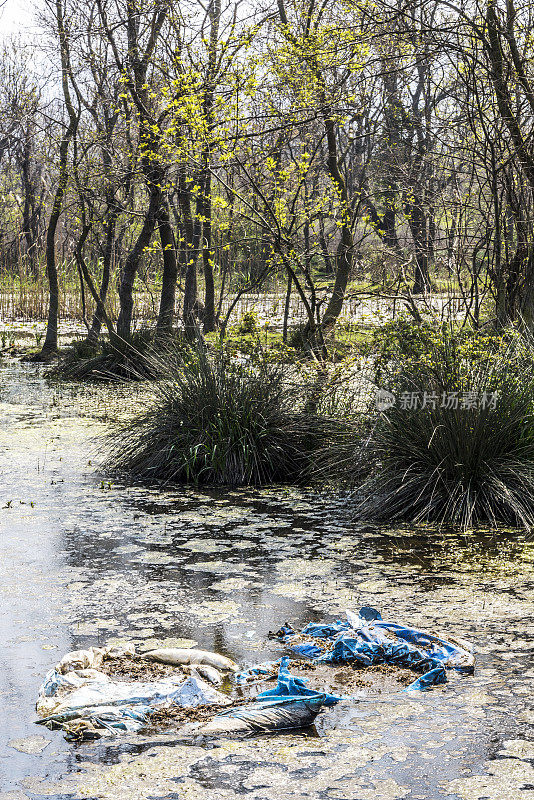 土耳其卡拉卡贝布尔萨的漫滩森林(longgoz)的环境污染