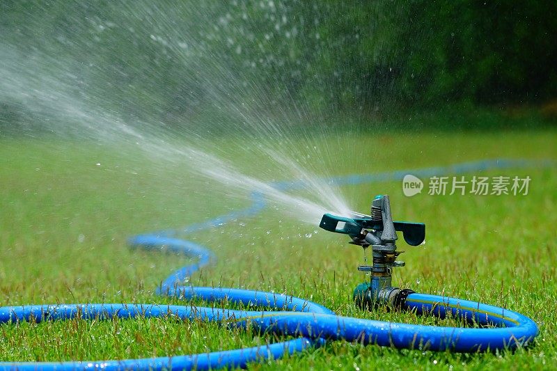 近距离观看草地与水施普林格