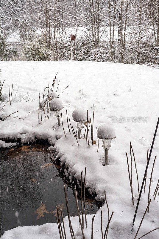 雪的场景