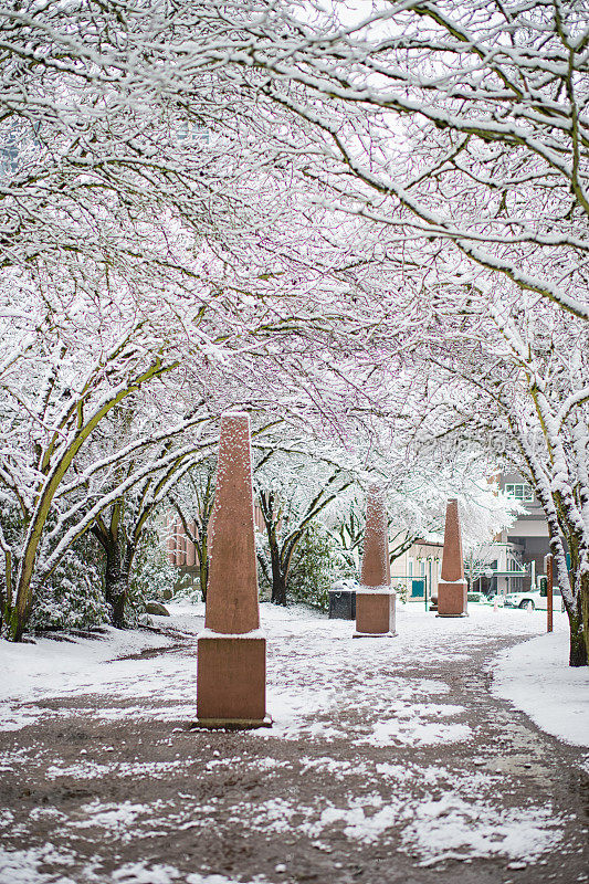 雪天的贝尔维尤市中心公园