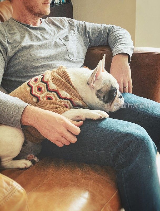 一个男人和他的宠物狗，一只法国斗牛犬在皮沙发上看电视