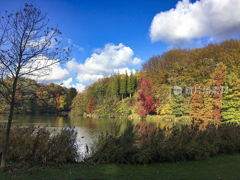 湖边宁静的公园，周围树木秋色缭绕