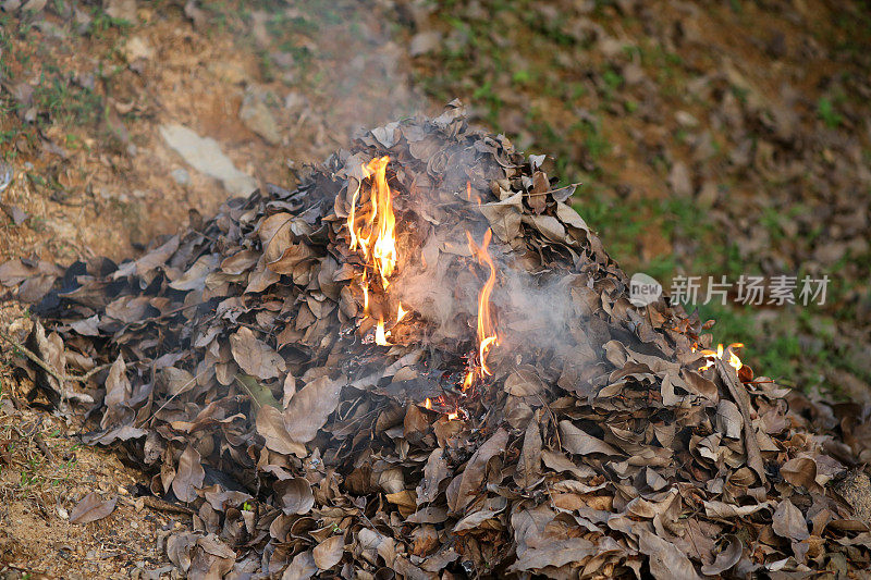 地球母亲正在窒息