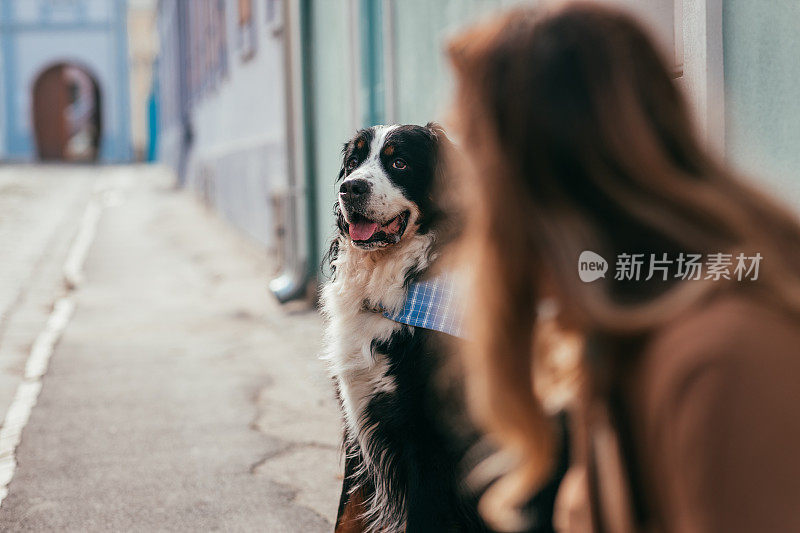 我们时刻在户外。一个年轻女人和她的狗坐在门阶上