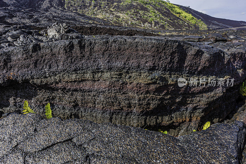 是一种表面光滑、波涛起伏、起伏或呈绳状的玄武岩熔岩。夏威夷火山国家公园，夏威夷，大岛。氧化的熔岩显示出各种颜色的氧化铁。