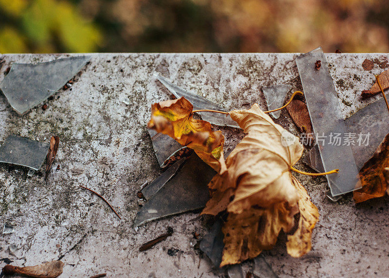 秋天的落叶和碎玻璃在废弃的地方