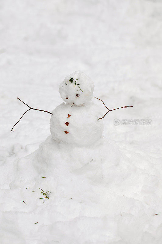 微小的雪人