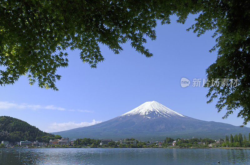 富士山和川口湖