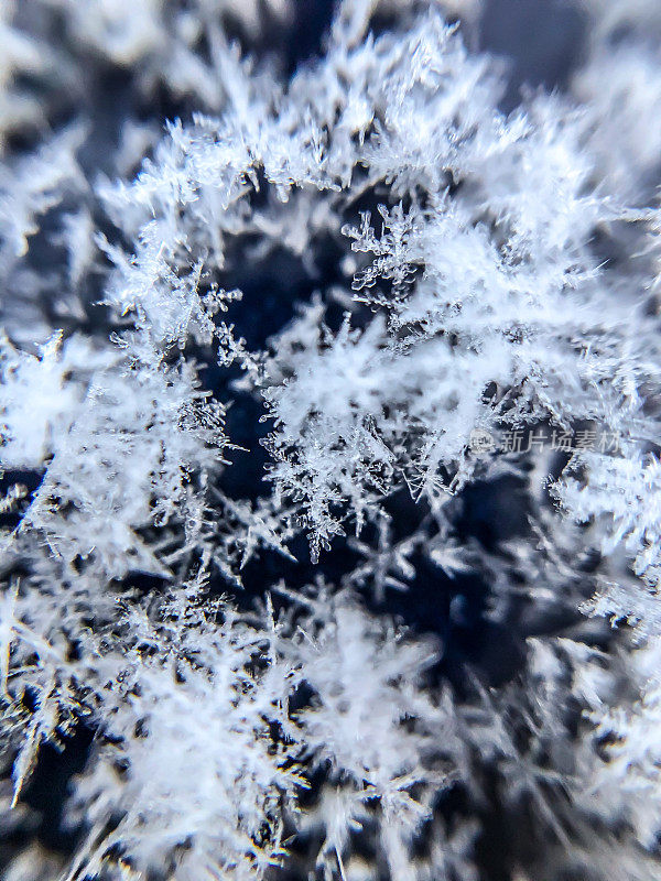 雪花的背景