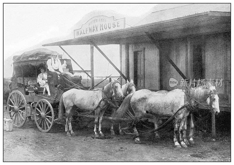 古董黑白照片:马车，夏威夷