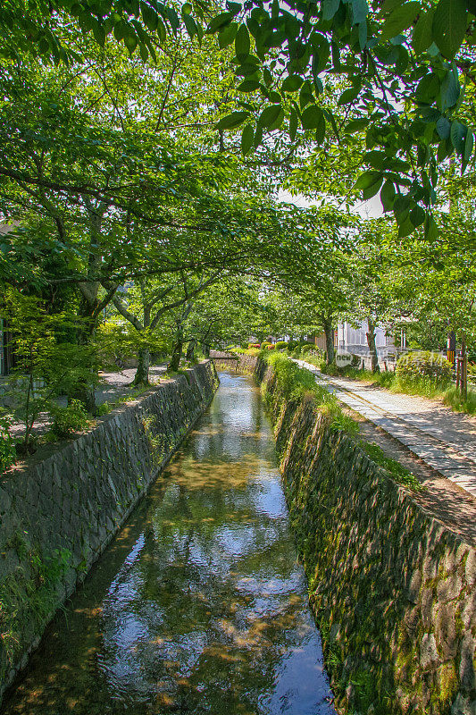 “哲学家之路”是京都运河旁的一条步行小径