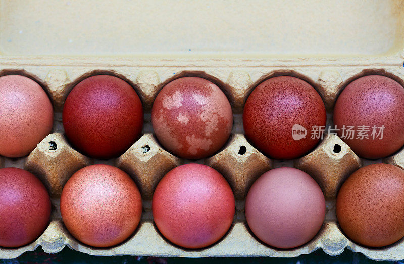 不同颜色的鸡蛋代表肤色的变化