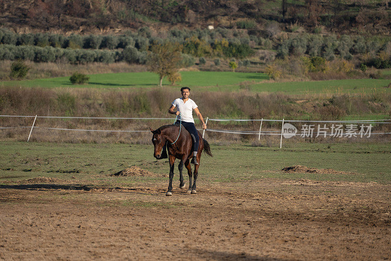 马和骑手享受日费风格。