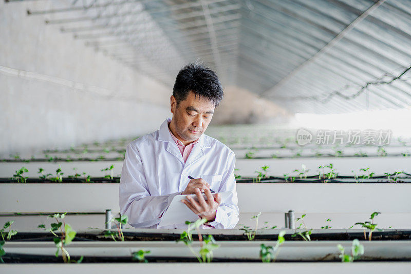 亚洲男性农业技术人员正在温室工作