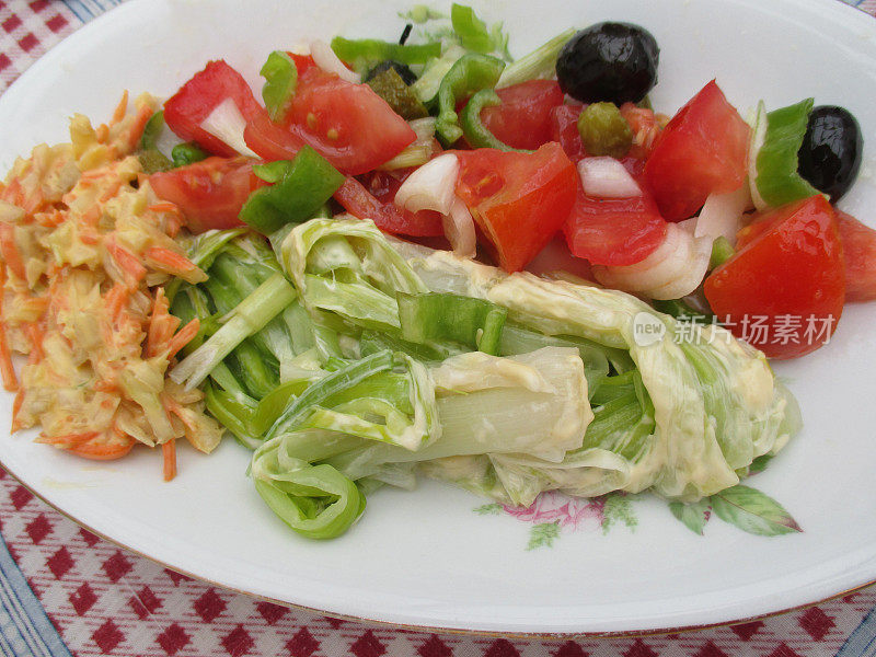 开胃菜包括韭葱、凉拌卷心菜、醋油沙司、番茄沙拉、黑橄榄、青椒和新洋葱