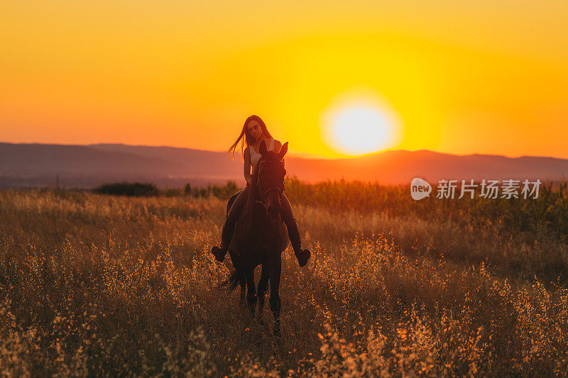 年轻女子在夕阳下的牧场骑马。