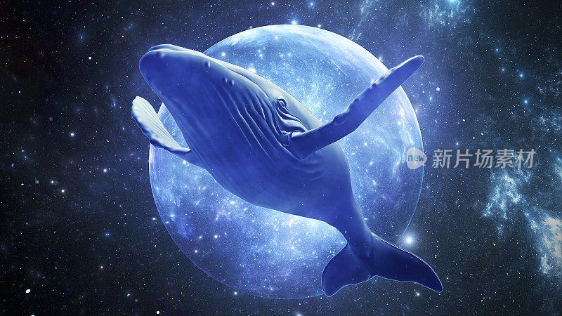 巨大的座头鲸在行星背景下的恒星中遨游。奇妙的艺术插图的太空鲸鱼与大fine和尾巴。三维渲染