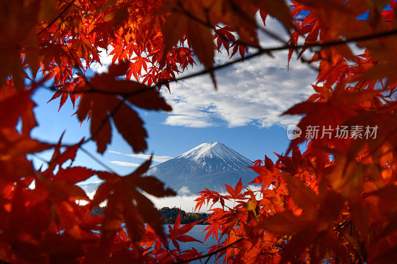 秋天红叶的富士山