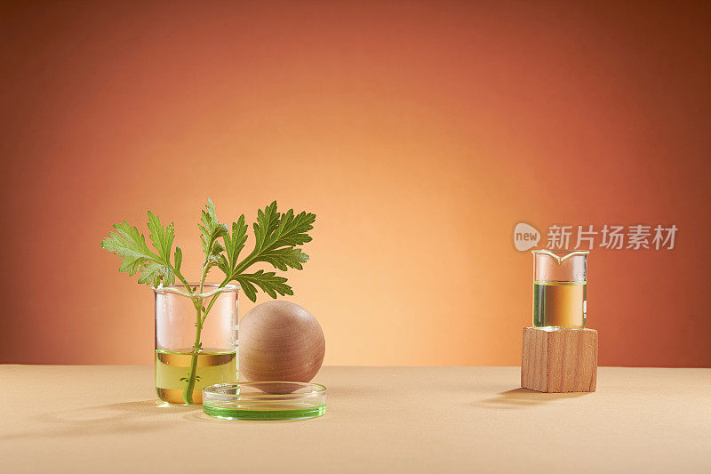 艾叶装饰木质立方体和透明烧杯，保健护肤用品，产品留白空间，健康内容