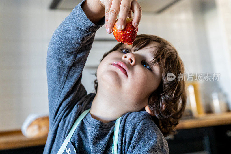 蹒跚学步的小男孩在吃草莓前仔细检查它。
