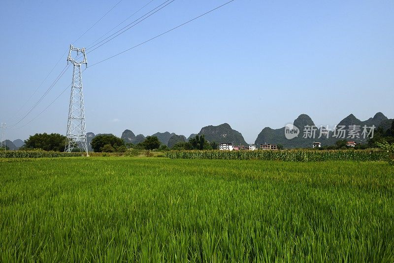 喀斯特地貌未污染农业区-稻田