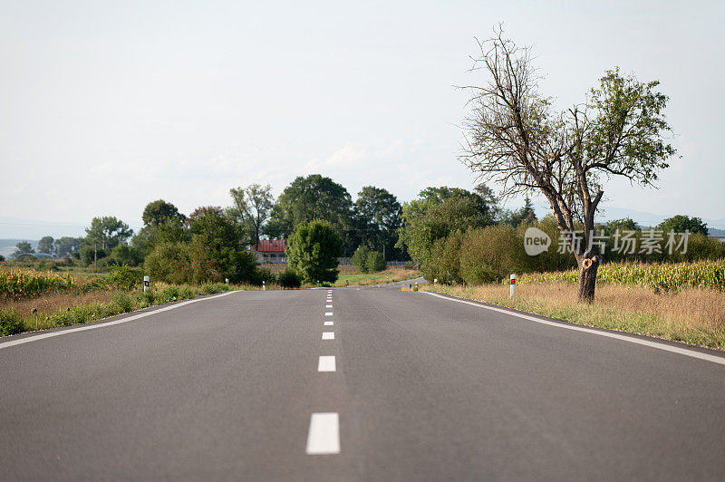 空无一人的道路